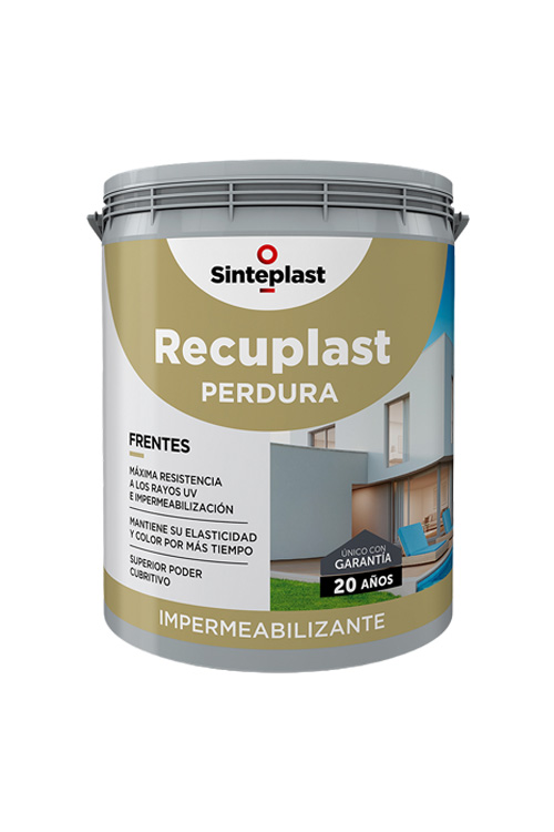 RECUPLAST PERDURA FRENTES